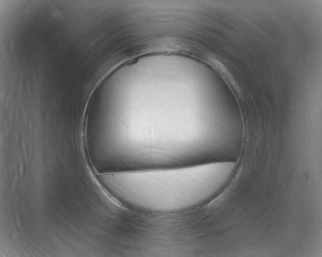 X0000075350802200609080811