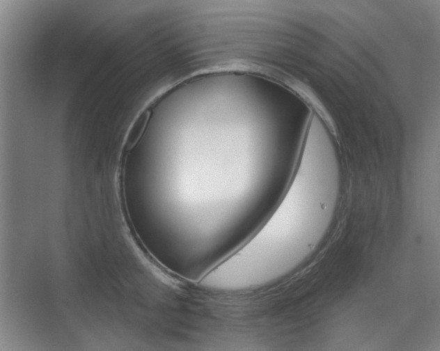 X0000075350805200609080811