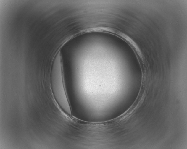 X0000075350809200609080811