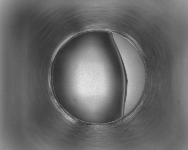 X0000075350812200609080811