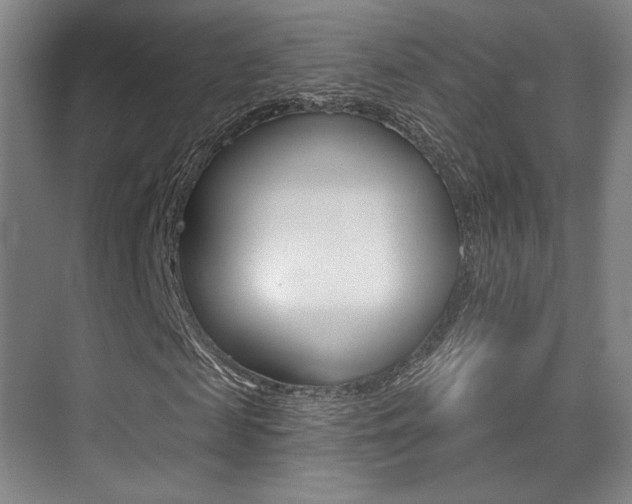 X0000075350817200609080810