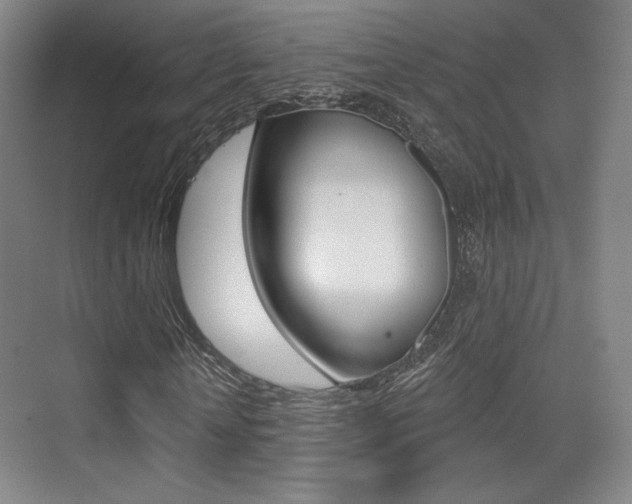X0000075350818200609080810