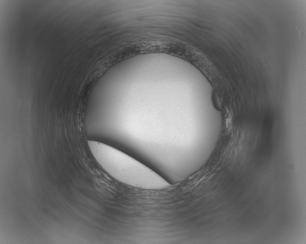 X0000075350819200609080810