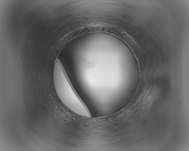 X0000075350821200609080810