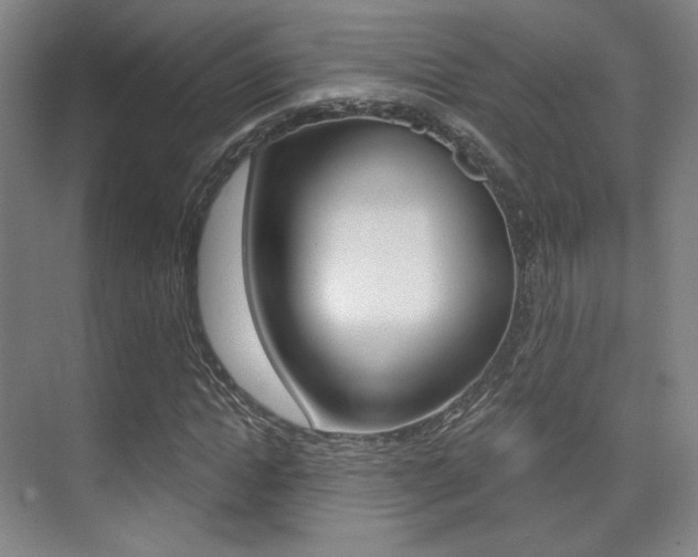 X0000075350822200609080810