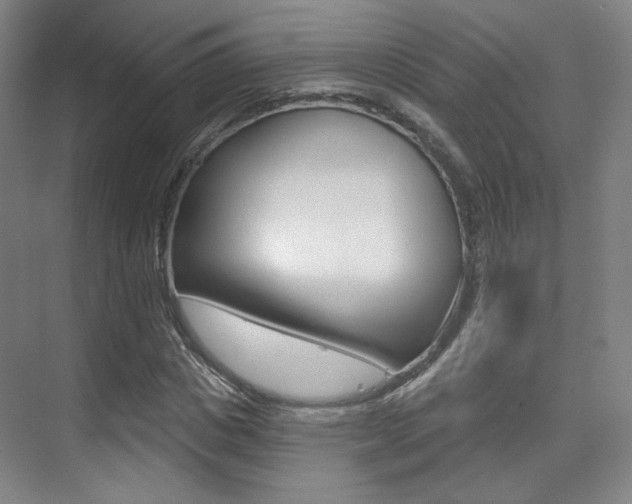 X0000075350825200609080810