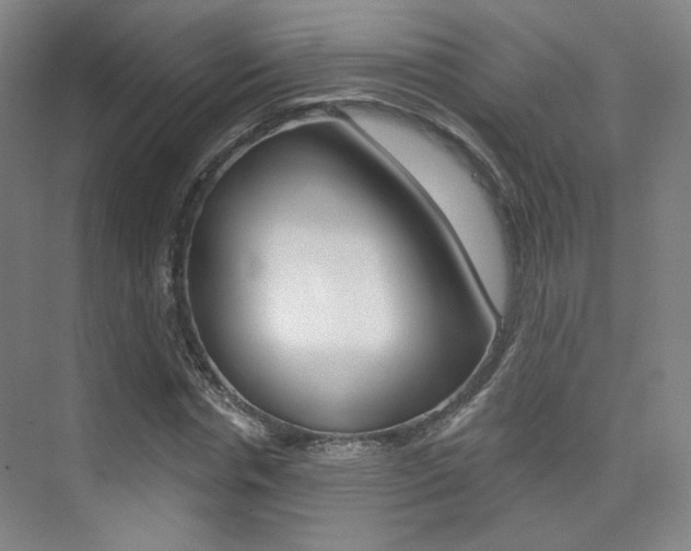 X0000075350826200609080810