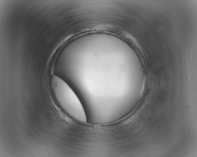 X0000075350827200609080810
