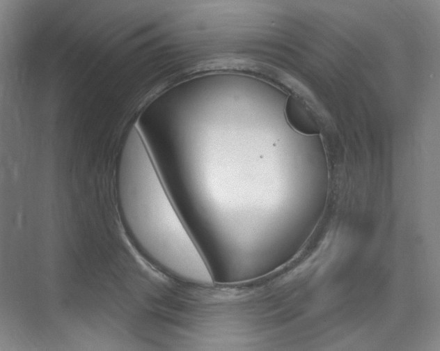 X0000075350841200609080810