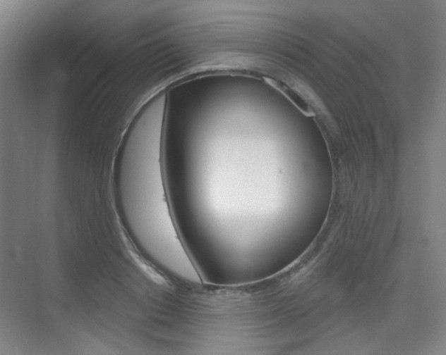 X0000075350842200609080810