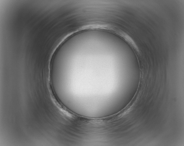 X0000075350844200609080810