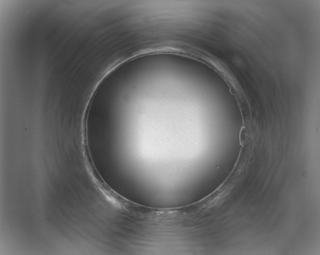 X0000075350858200609080811