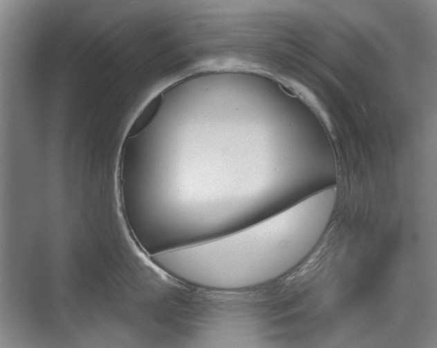 X0000075350863200609080811