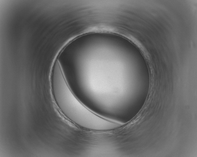 X0000075350864200609080811