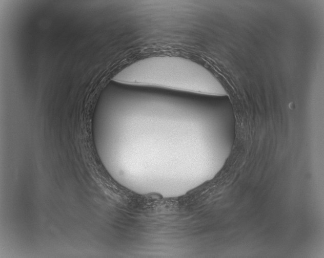X0000075350865200609080810
