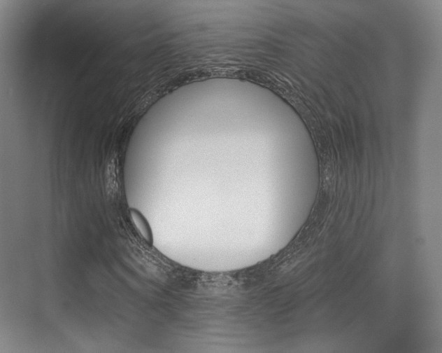 X0000075350866200609080810