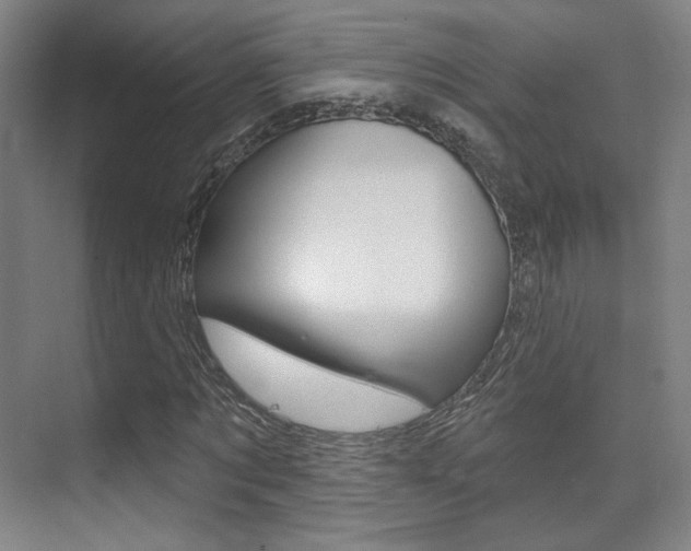 X0000075350869200609080810