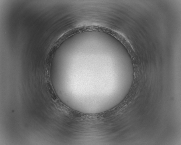 X0000075350871200609080810