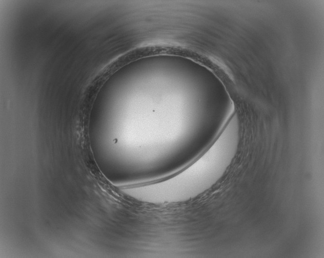 X0000075350872200609080810
