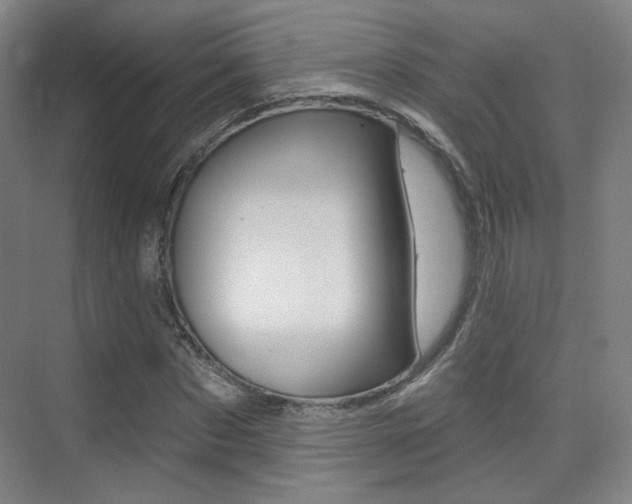 X0000075350873200609080810