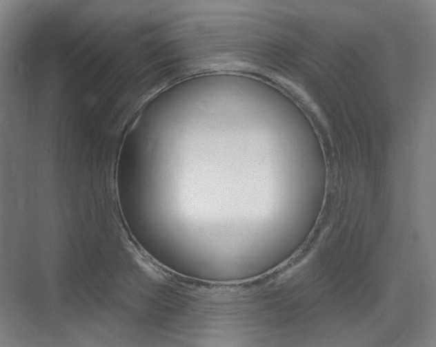 X0000075350889200609080810
