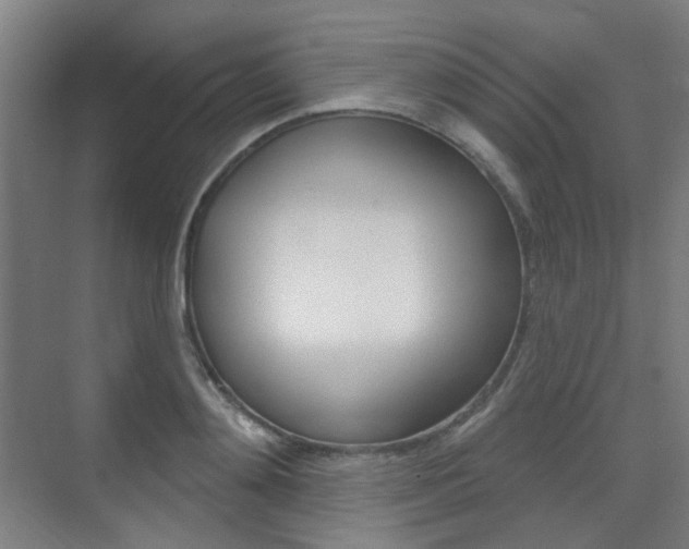 X0000075350892200609080810