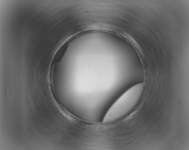 X0000075350893200609080810