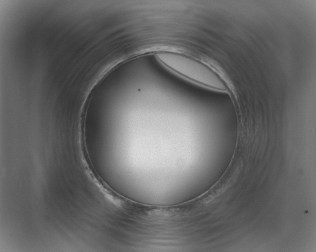 X0000075350898200609080809
