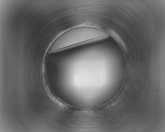 X0000075350900200609080809