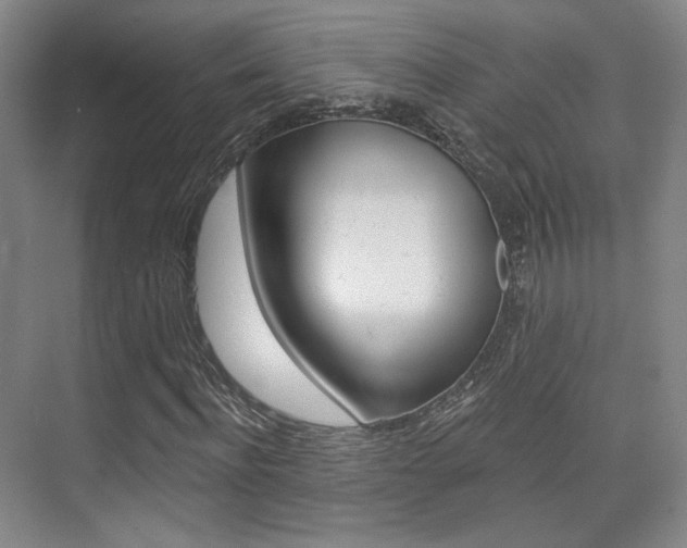 X0000075350916200609080808