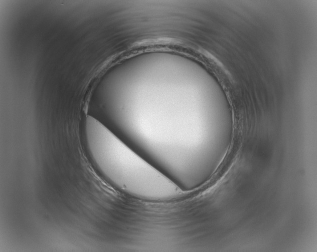 X0000075350921200609080809