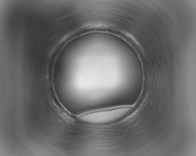 X0000075350922200609080809