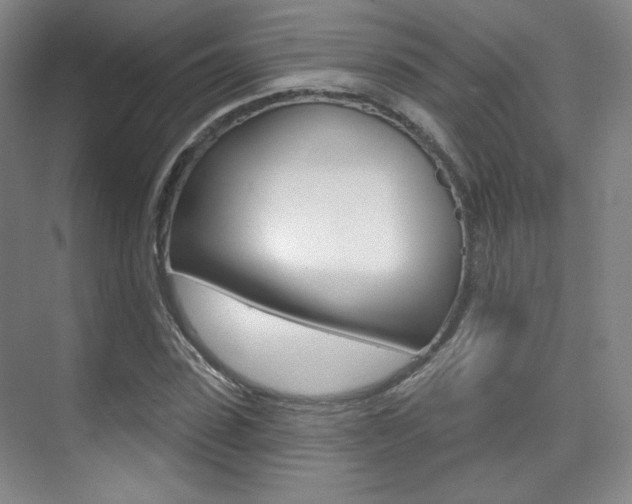 X0000075350923200609080809