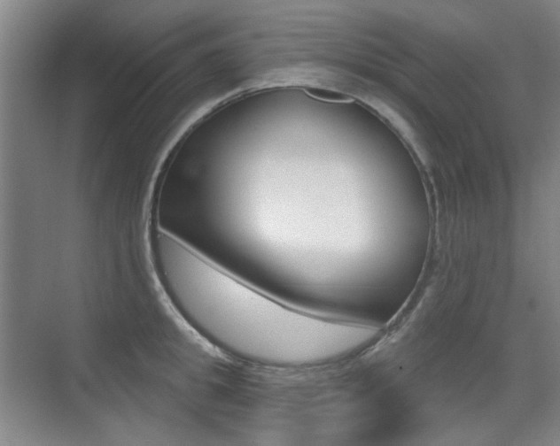 X0000075350949200609080809
