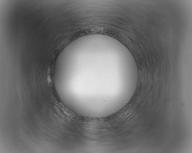 X0000075350962200609080808