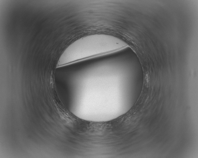 X0000075350963200609080808