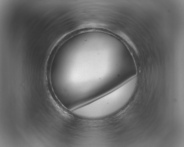 X0000075350972200609080808