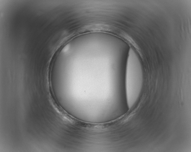 X0000075350986200609080808