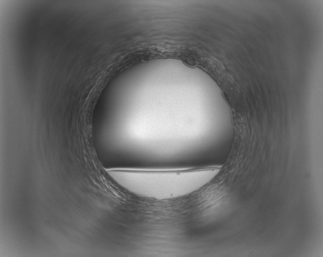 X0000075351009200609080807