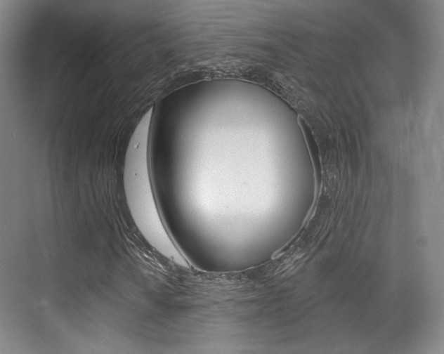X0000075351010200609080807