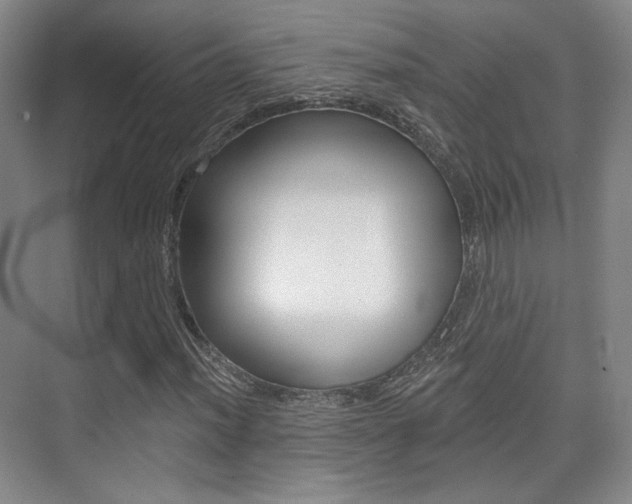 X0000075351012200609080807