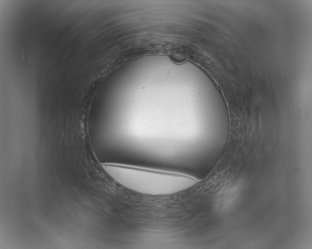 X0000075351013200609080807