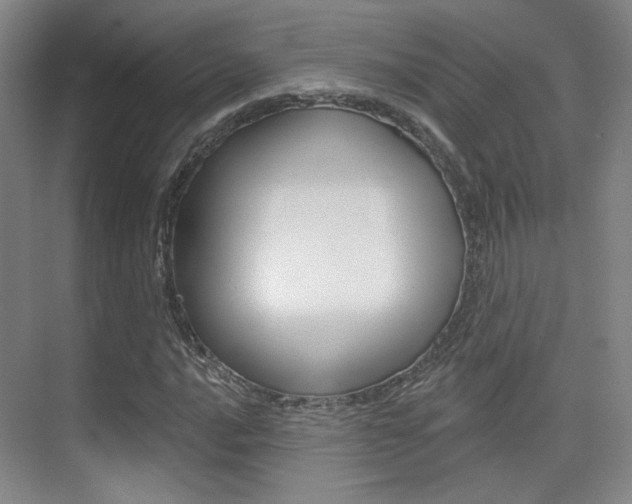 X0000075351016200609080807
