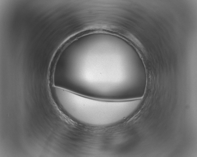 X0000075351020200609080807