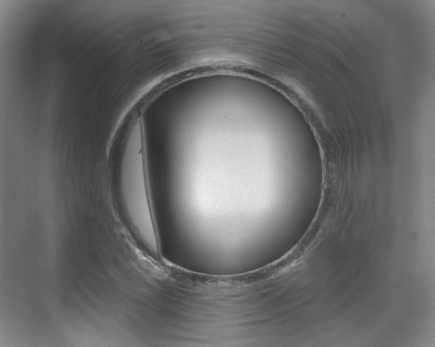 X0000075351022200609080807
