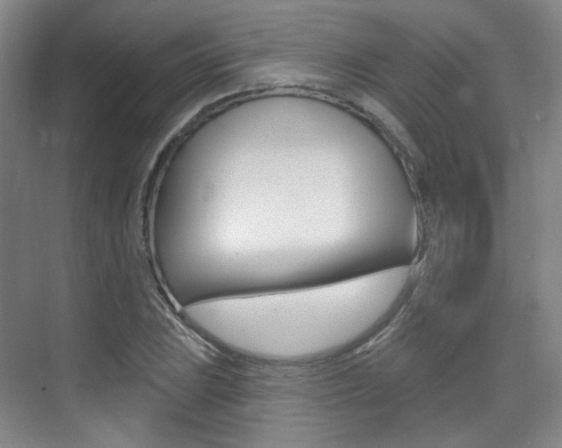X0000075351023200609080807