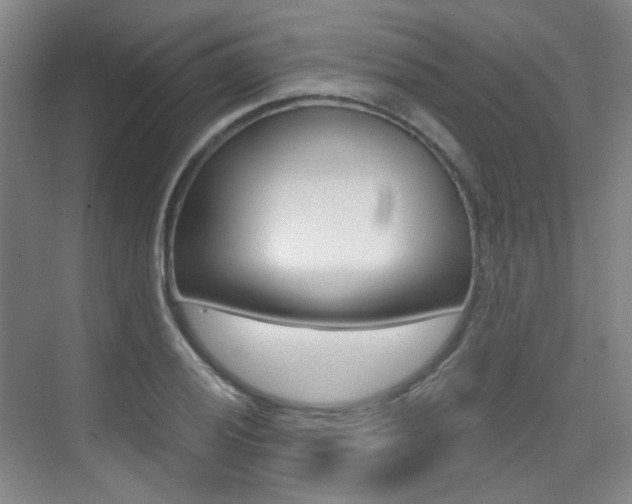 X0000075351028200609080807