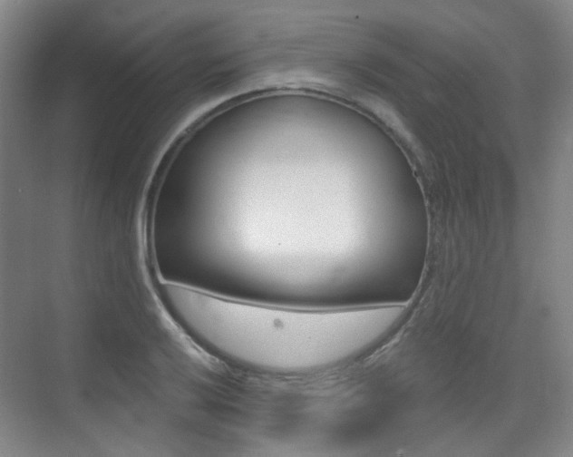 X0000075351032200609080807