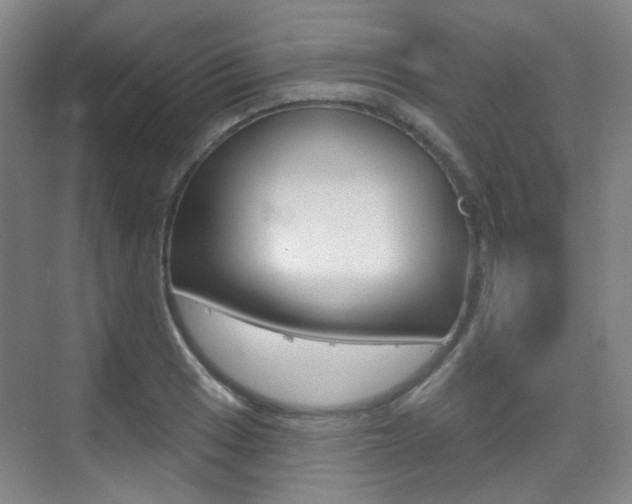 X0000075351033200609080807