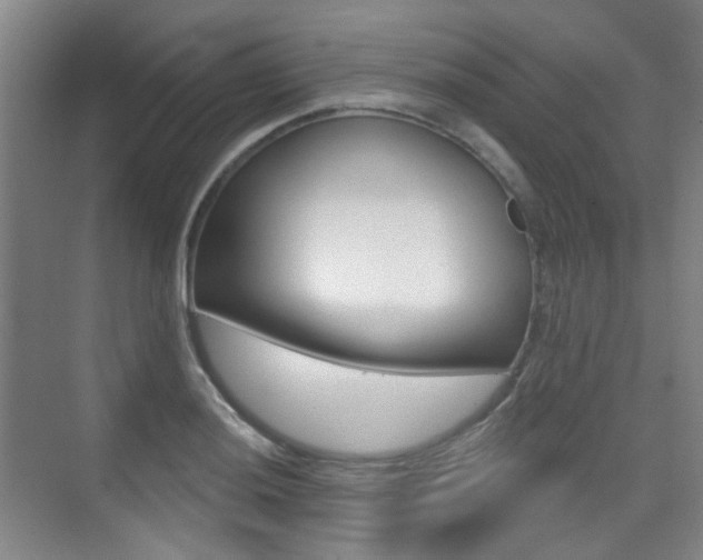 X0000075351036200609080807